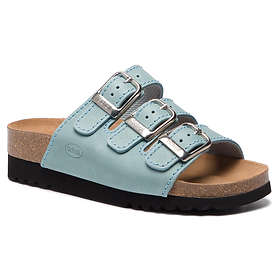 Scholl